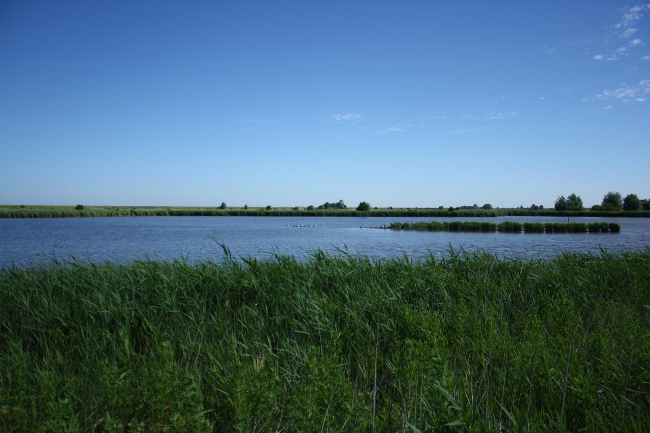 Gulfhof Greetsiel Exterior foto
